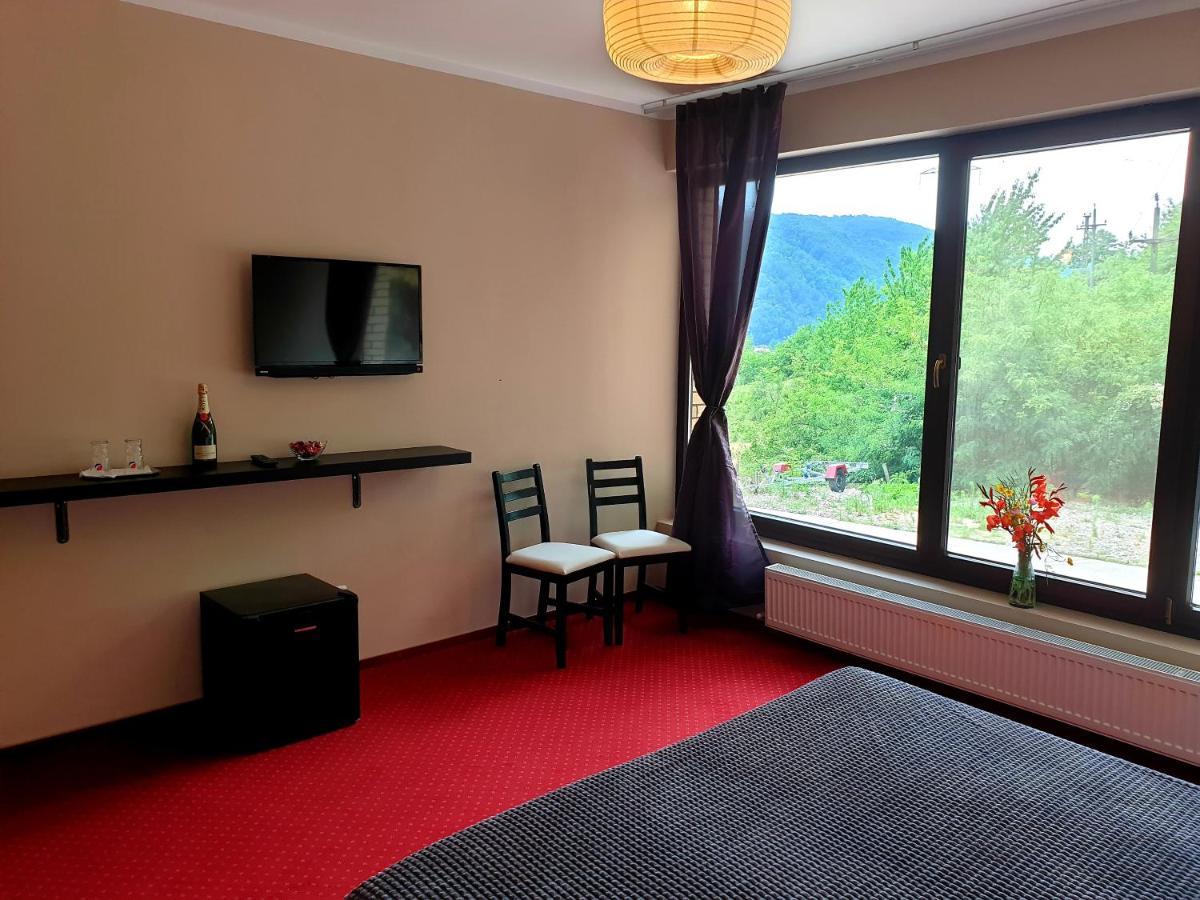 Rex Infinity View 4* Cazanele Dunarii Dubova Exteriör bild